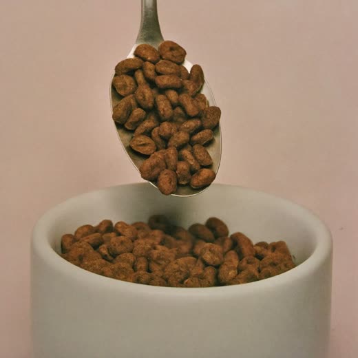 A bowl of dry pet food